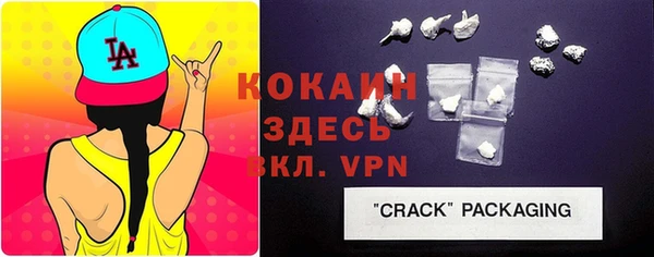 шишки Абаза
