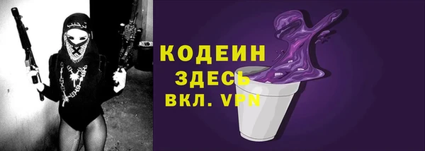 шишки Абаза