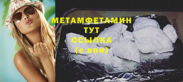 шишки Абаза