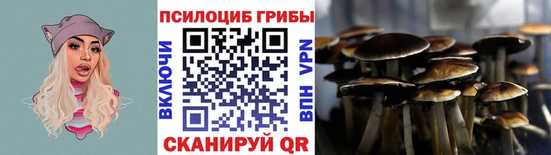 Псилоцибиновые грибы прущие грибы  Энем 
